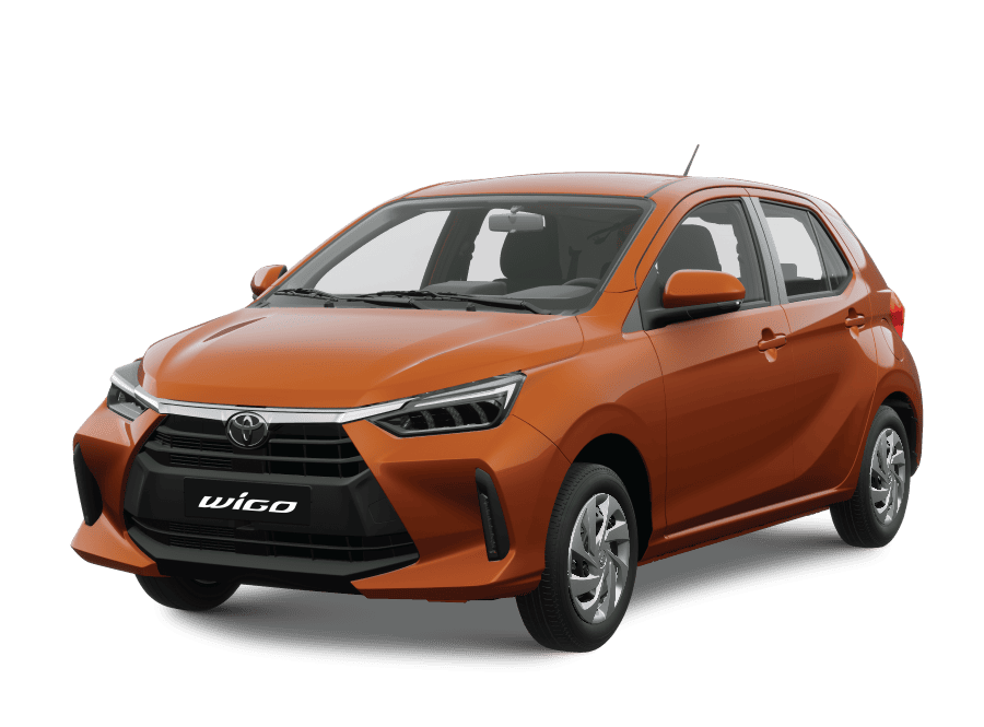 WIGO G CVT 19 r80